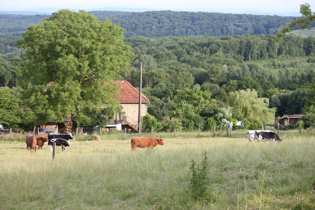 Ferme Pedagogique " L'Bout D'Chemin" Villa Genevreuille Exterior foto